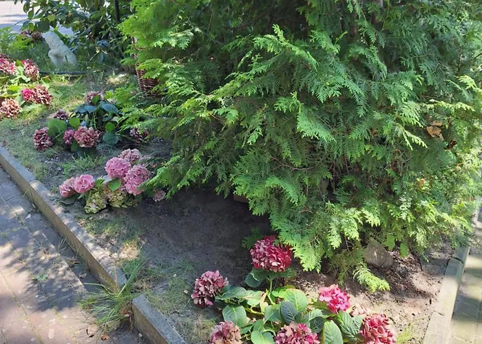 Domek Letniskowy 3 Os Pod Bukiem