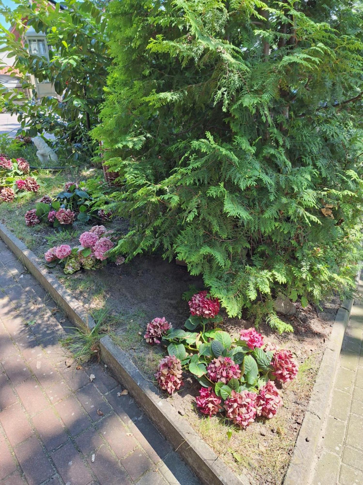 Letniskowy 3 Os Pod Bukiem Domek letniskowy Międzyzdroje